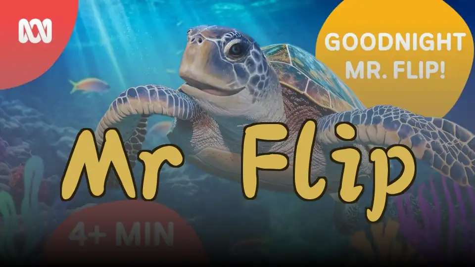 Mr Flip