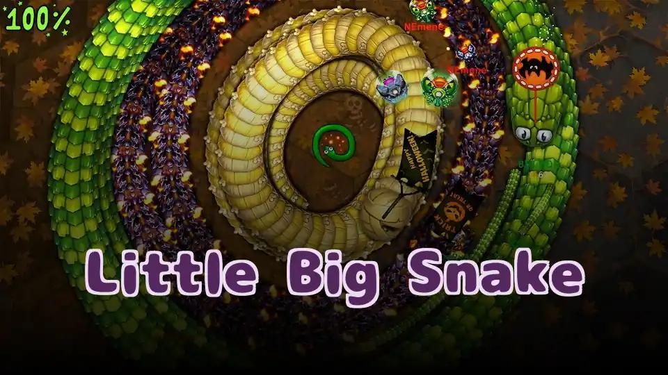 Little Big Snake