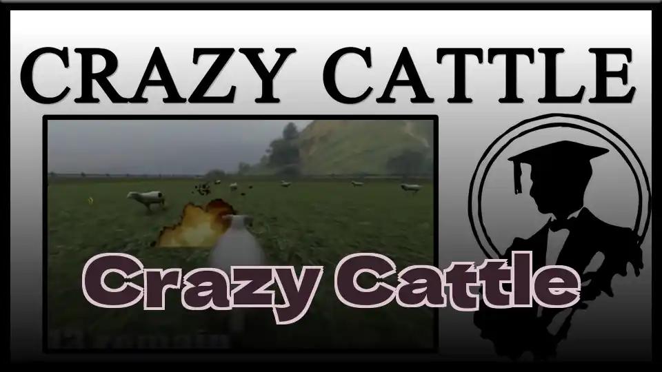 Crazy Cattle